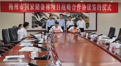 投资20亿元！广西鹿鼎林业集团将在梅建设50万亩国家储备林