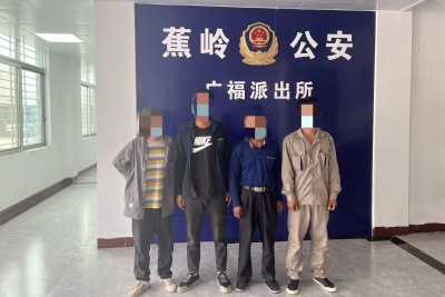 蕉岭一盗窃团伙将“黑手”伸向停用高压线，结果…