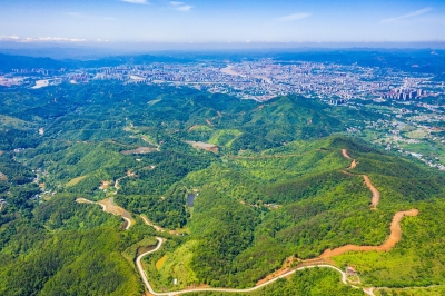梅县区法院：以法之名 守护青绿