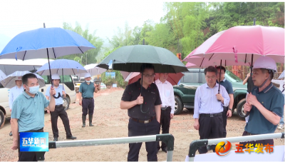 水利部工作组一行到五华县检查指导强降雨防御工作