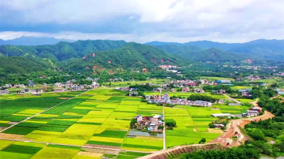 刘鸿涛：发挥优势，努力建设苏区融湾先行区