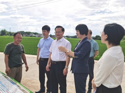 曾永祥到兴宁市调研乡村振兴工作：发挥帮扶优势 推动全面振兴