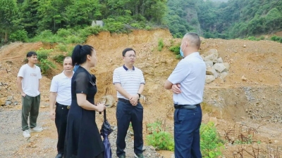 凌晓文带队到茶阳镇调研废弃矿山整治工作