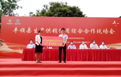 丰顺举行生产供销信用综合合作现场会！农行梅州分行为留隍镇橄榄协会授信2600万元