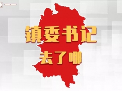 平远各镇党委书记，上周在忙什么？