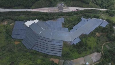 ​梅县区厚植生态底色 守护“绿水青山”