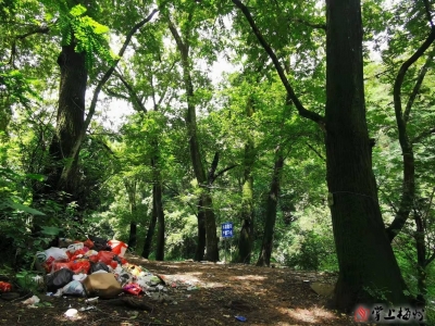 时评丨但存方寸地 留与子孙耕 