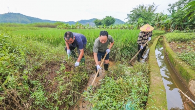 灾后农业生产恢复进行时！本轮强降水致梅州农业生产直接经济损失约9930.3万元