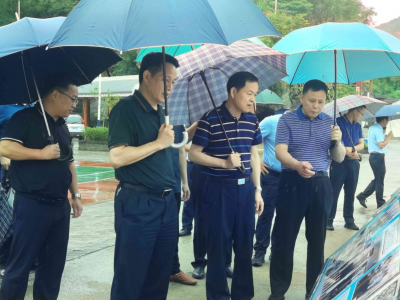 洪国华到黄陂镇督导检查：强化责任落实 筑牢安全防线 推进乡村振兴