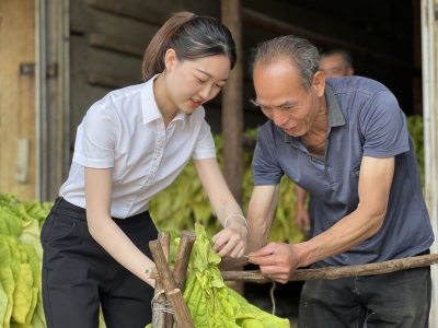 携手银行为烟农提供贷款支持！梅州市烟草专卖局（公司）精准发力用心服务  