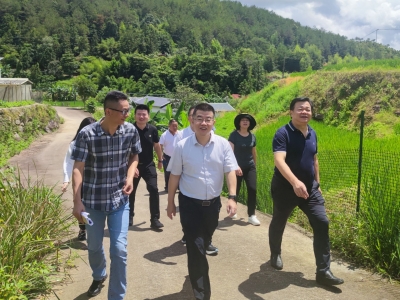梅州市烟草专卖局到帮扶村调研：用心用情用力推动驻镇帮镇扶村工作