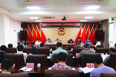 丰顺县政协召开传达学习贯彻省第十三次党代会精神干部职工大会