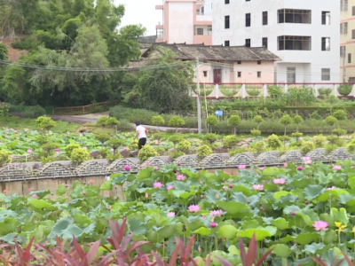 五华：打好农村污水处理“主动仗” 绘就乡村振兴清新底色