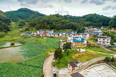 小事不出村 大事不出镇！平远县这个村的村民理事会，理出山乡治理好路子