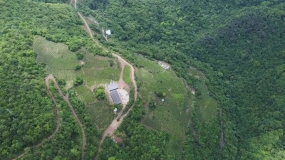 梅县区：打好“绿色牌” 做好农业发展大文章