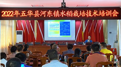 稻花飘香时，听省级专家讲水稻如何丰收