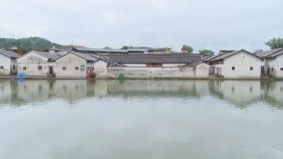 温助民率队调研基层党建、乡村振兴等工作 全力打造广东乡村振兴新典型