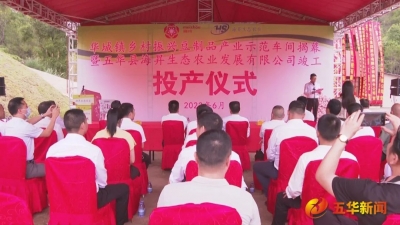 年产值1500万元！华城镇乡村振兴豆制品产业示范车间揭牌暨五华县海昇生态农业发展有限公司竣工投产！