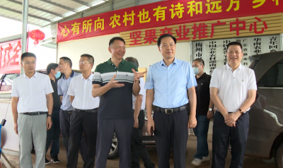 省农业农村厅副厅长陈宗云到兴宁调研农村综合改革工作