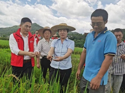 梅州银保监分局指导人保财险梅州分公司开展灾情查勘工作