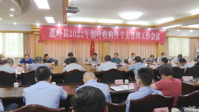 蕉岭6月15日开磅收购烟叶，计划收购量2.05万担！