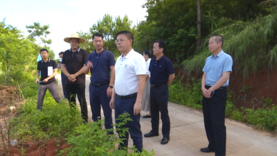 刘裕君率队督导垦造水田项目工作