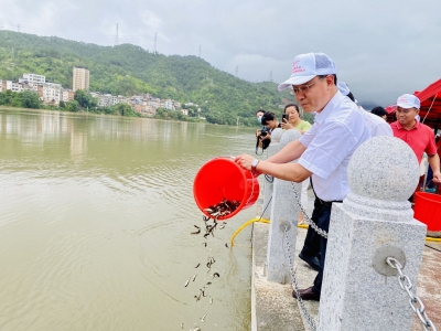 1200万尾淡水鱼流入韩江！广东梅州增殖放流活动在大埔举行