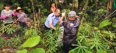 50多斤大蟒蛇进村吃鸡！警民联手捕获放生
