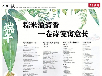 寿乡蕉岭·桂花