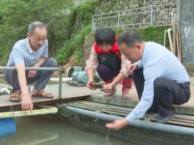 梅县区：积极开展灾后渔业生产自救 力挽养殖户损失