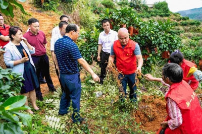 省工信厅组织多家药企专家到兴宁开展中医药产业调研