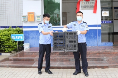 “有穿山甲跑我家来了，你们快来救救它吧！”