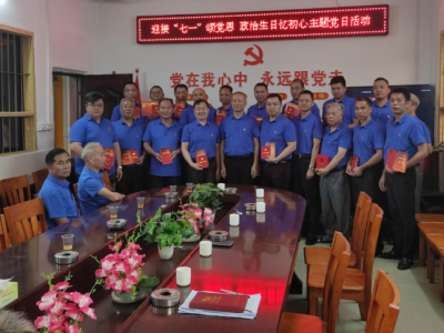 重温入党誓词、收获“政治生日”礼物…丰顺这场主题党日活动让人难忘！