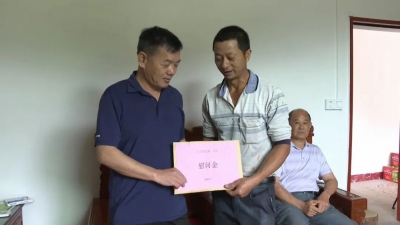 平远仁居牛舍倒塌牛群被压 当地积极开展生产自救和防疫消杀