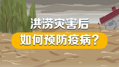 洪涝灾害后，如何预防疫病？来看梅州市疾控专家相关提醒→