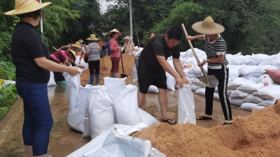 装沙袋，堵决口！丰顺县留隍镇口铺村干群合力垒起“安全墙”
