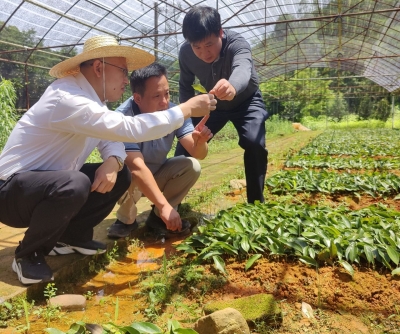 省党代表卓国宁：坚定信念加强科研攻坚，为农林产业发展提供科技支撑！