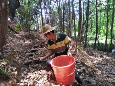 从白领变林农！来看平远“返乡新农人”逐梦乡村山野的故事...