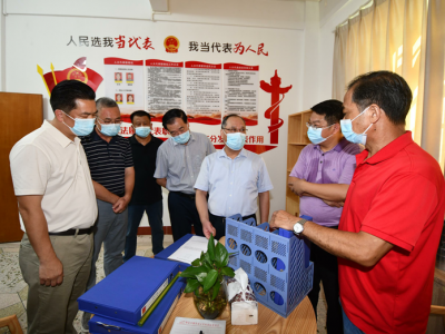 余其豹到梅县区、梅江区开展履职活动：发挥人大代表作用 助推爱国卫生工作