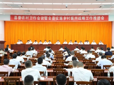 2022年丰顺县委农村工作会议暨全县实施乡村振兴战略工作推进会召开