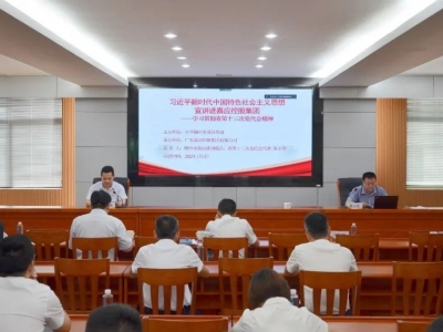 省党代表陈小华在嘉应控股集团作学习贯彻省第十三次党代会精神专题宣讲