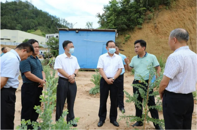 谢钦文到大埔开展巡林、进代表联络站、联系挂点村（社区）“两委”干部和企业工作