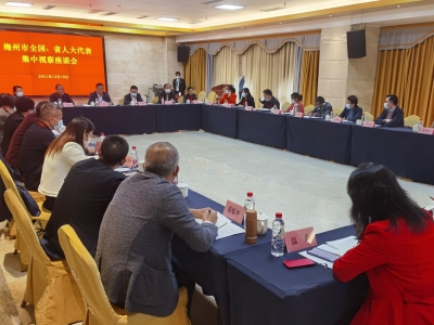 激发代表活力，增强惠民实效！梅州各级人大更好发挥人大代表作用综述