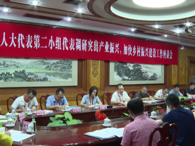 周小勇参加平远县“更好发挥人大代表作用”主题活动