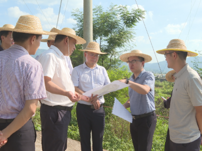 刘裕君到新铺镇督导垦造水田、光伏小镇项目建设工作
