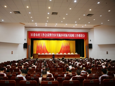 2022年梅县区委农村工作会议暨全区实施乡村振兴战略工作推进会召开