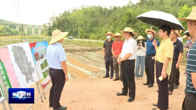 梅县区政协对“撂荒耕地复耕复种”工作开展民主监督 高质量推进撂荒耕地复耕复种工作
