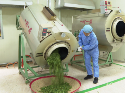 平远县“八星茶”荣获“客家炒绿茶王”