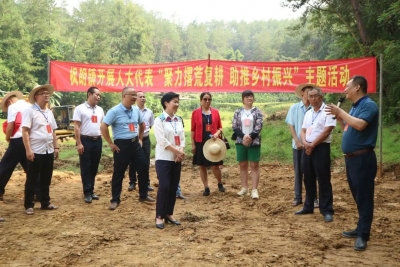 聚力撂荒复耕 助推乡村振兴！张红梅以人大代表身份参加代表主题活动