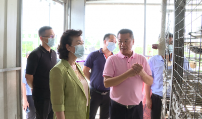 仲恺农业工程学院调研组到兴宁市开展乡村振兴调研活动